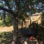 Mosteirinho Negreda