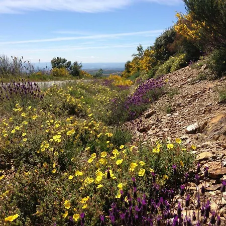 Mosteirinho Prázdninový dům Negreda