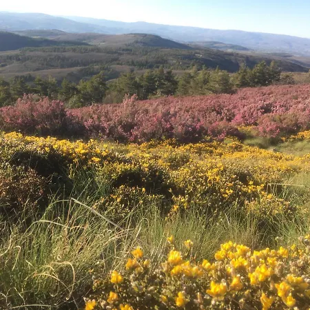 Holiday home Mosteirinho Negreda