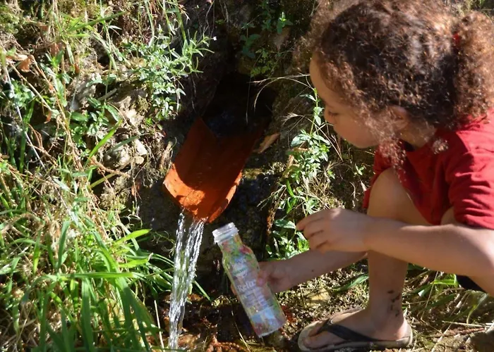 Ferienhaus Mosteirinho Negreda
