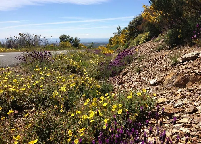 Mosteirinho 펜션 네그레다