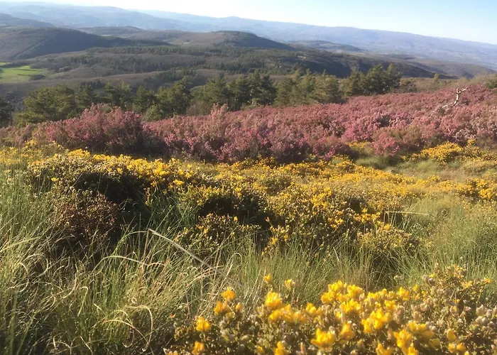 Semesterbostad Mosteirinho Negreda