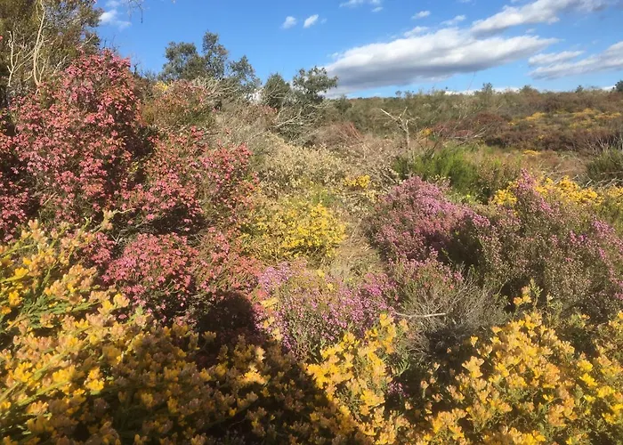 Mosteirinho Semesterbostad